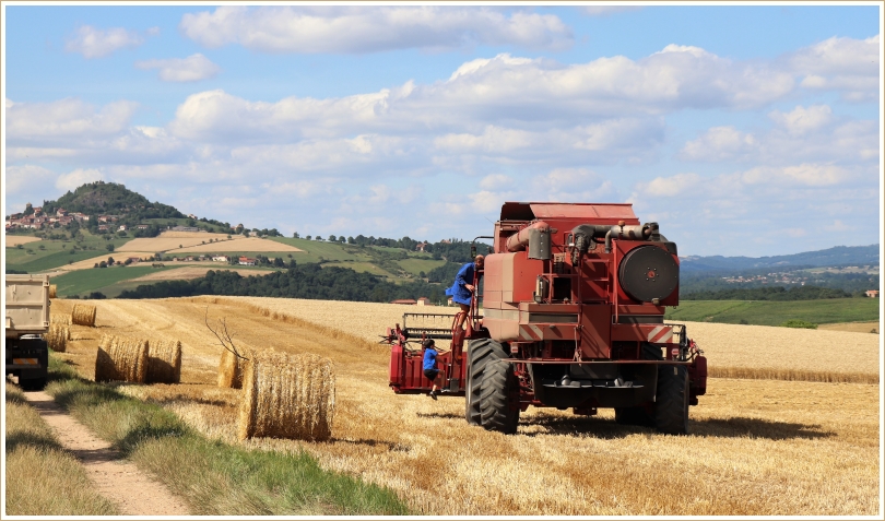 Recolte 2017 2©GOODici